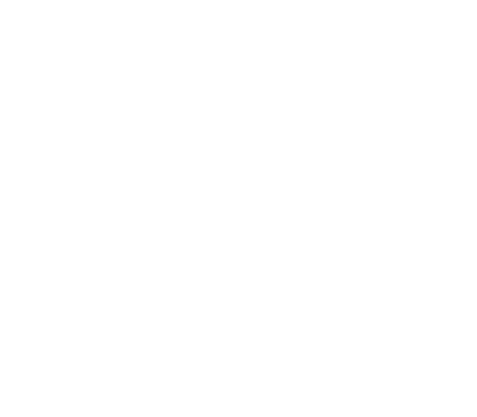 Amax-logo_white